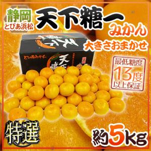 石川県 金沢産 ”幸水梨” 秀品 20〜28玉前後 約10kg【予約 8月末以降