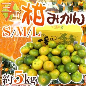 青柚子” 訳あり 約500g 大きさおまかせ 産地厳選 青ゆず【予約 5月以降