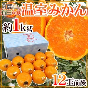 福岡 合馬産 ”たけのこ” 2〜8本 約4kg 化粧箱入り 等級 黄 緑【予約 3