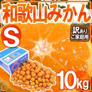 みかん ”和歌山みかん” 訳あり Sサイズ 約10kg【予約 11月末以降】 送料無料