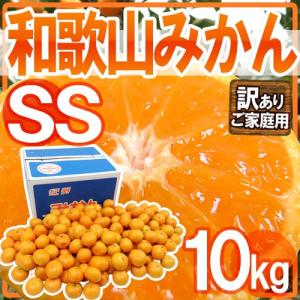 みかん ”和歌山みかん” 訳あり 小粒・小玉 SSサイズ 約10kg【予約 11月末以降】 送料無料