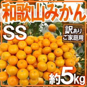 みかん ”和歌山みかん” 訳あり 小粒・小玉 SSサイズ 約5kg【予約 11月末以降】 送料無料