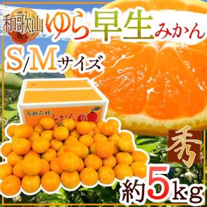 みかん 和歌山産 ”ゆら早生みかん” 秀品 S/Mサイズ 約5kg【予約 10月以降】 送料無料