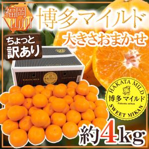 みかん 福岡産 山川みかん ”博多マイルド” ちょっと訳あり 約4kg 大きさおまかせ 黒箱【予約 11月中旬以降】 送料無料