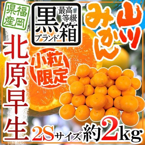 みかん ”福岡 JAみなみ筑後 山川みかん 北原早生” 黒箱等級 小粒限定2Sサイズ 約2kg【予約...
