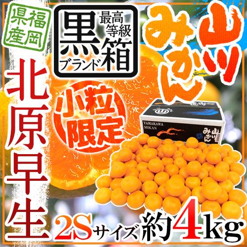 みかん 福岡 JAみなみ筑後 ”山川みかん 北原早生” 黒箱等級 小粒限定2Sサイズ 約4kg【予約...