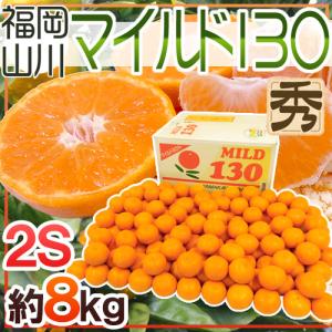 みかん 山川みかん ”福岡産 マイルド130” 秀品 S/Mサイズ 約8kg