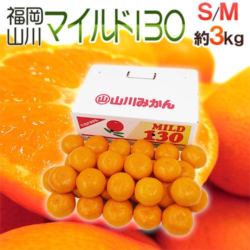 みかん 山川みかん ”福岡産 マイルド130” 秀品 S/Mサイズ 約3kg 産地箱【予約 11月以...