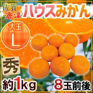 みかん 佐賀産 JAからつ ”ハウスみかん” 大玉Lサイズ 8玉前後 約1kg バラ詰め 温室みかん【予約 6月以降】 送料無料｜kurashi-kaientai