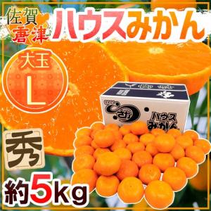 みかん 佐賀産 JAからつ ”ハウスみかん” 大玉Lサイズ 約5kg 温室みかん【予約 6月以降】 送料無料