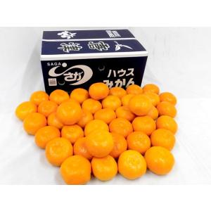 みかん 佐賀産 JAからつ ”ハウスみかん” ...の詳細画像2