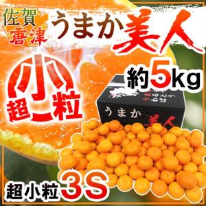みかん 佐賀県 JAからつ ”うまか美人みかん” 超小粒3Sサイズ 約5kg【予約 10月中旬以降】 送料無料