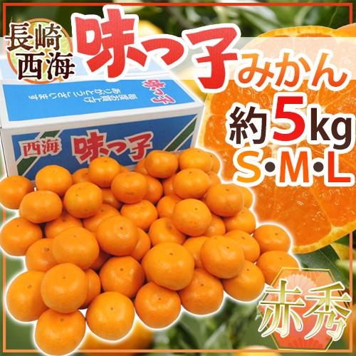 みかん 長崎 西海 ”味っ子みかん” 赤秀品 S/M/Lサイズ 約5kg 最低糖度13度保証【予約 ...