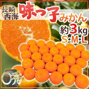 みかん 長崎 西海 ”味っ子みかん” ○秀品 S/M/Lサイズ 約3kg 最低糖度13度保証【予約 11月下旬以降】 送料無料