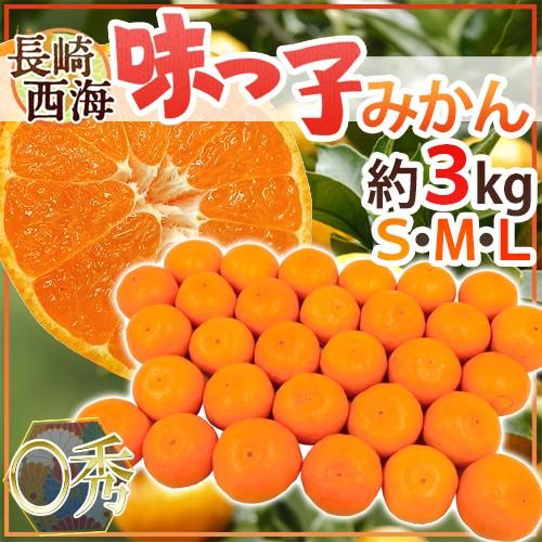 みかん 長崎 西海 ”味っ子みかん” ○秀品 S/M/Lサイズ 約3kg 最低糖度13度保証【予約 ...