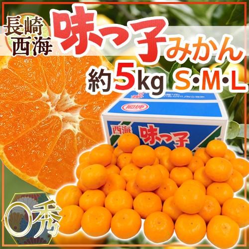 みかん 長崎 西海 ”味っ子みかん” ○秀品 S/M/Lサイズ 約5kg 最低糖度13度保証【予約 ...