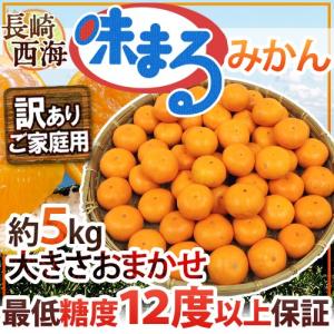 みかん 長崎 西海 ”味まるみかん” 訳あり 約5kg 大きさおまかせ 産地化粧箱 最低糖度12度保証【予約 11月下旬以降】 送料無料