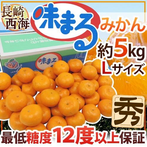 みかん 長崎 西海 ”味まるみかん” 秀品 Lサイズ 約5kg 産地化粧箱 最低糖度12度保証【予約...