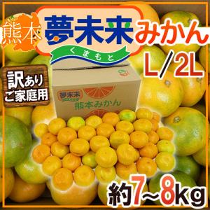 熊本産 ”夢未来みかん” 訳あり L/2Lサイズ 約7〜8kg【予約 入荷次第発送】 送料無料