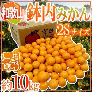 徳島産 ”すだち” 秀品 約1kg 化粧箱 大きさおまかせ 送料無料 : くらし