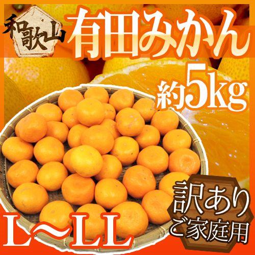 みかん ”和歌山産 有田みかん” 訳あり L〜LLサイズ 約5kg ありだみかん【予約 11月末以降...