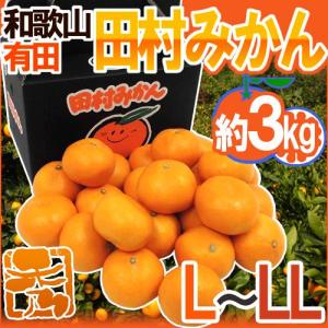 みかん 和歌山産 ”ゆら早生みかん” 秀品 S/Mサイズ 約5kg【予約 10月