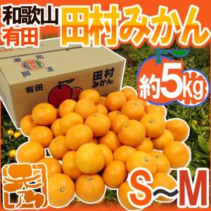 みかん 和歌山有田産 ”田村みかん” 秀品 S〜M 約5kg 産地箱【予約 11月末以降】 送料無料