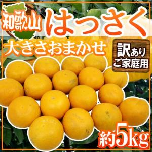 和歌山産 ”はっさく” 訳あり 約5kg 大きさおまかせ【予約 2月中旬以降】 送料無料