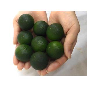 徳島産 ”すだち” 約200gの詳細画像4