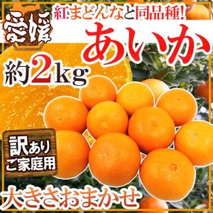 愛媛産 紅まどんなと同じ品種 あいか” 訳あり 約5kg 大きさおまかせ