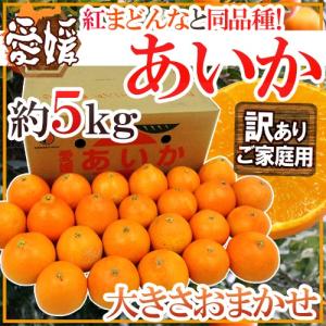 ”愛媛産 紅まどんなと同じ品種 あいか” 訳あり 約5kg 大きさおまかせ【予約 11月末以降】 送料無料