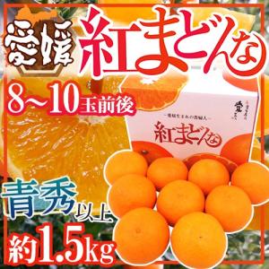 愛媛産 ”紅まどんな” 青秀品以上 8〜10玉前後 約1.5kg 化粧箱【お歳暮・予約 12月以降】 送料無料
