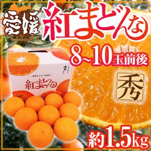 愛媛産 ”紅まどんな” 8〜10玉前後 約1.5kg 化粧箱【お歳暮・予約 12月以降】 送料無料