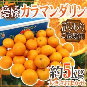 【緊急スポット】愛媛産 ”カラマンダリン” 訳あり 約5kg 大きさおまかせ【2週間以内の発送】 送料無料