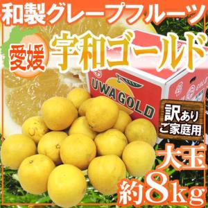 【送料無料】愛媛県 ”宇和ゴールド” 訳あり 2Lサイズ以上...