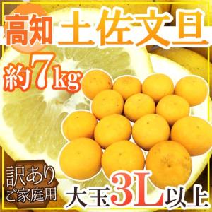 高知産 ”土佐文旦” 訳あり 大玉限定 3Lサイズ以上 約7kg【予約 2月以降】 送料無料