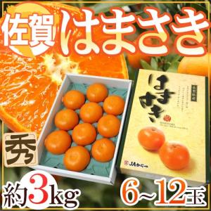 佐賀産 ”はまさき” 6〜12玉 約3kg 化粧箱入り 麗紅【予約 2月以降】 送料無料