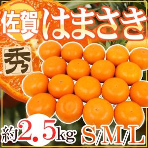 佐賀産 ”はまさき” 秀品 S/M/L 約2.5kg バラ詰め 麗紅【予約 2月以降】 送料無料