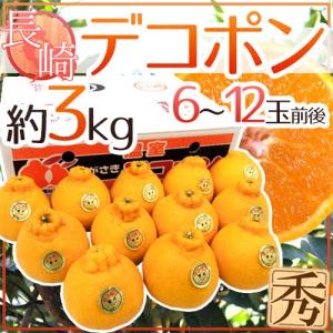 長崎産 ”デコポン” 秀品 6〜15玉前後 約3kg【予約 1月下旬以降】 送料無料