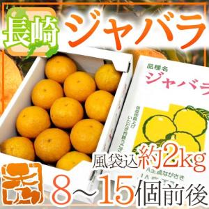 長崎産 ”ジャバラ” 秀品 8〜15玉前後 風袋込約2kg じゃばら【予約 1月以降】 送料無料