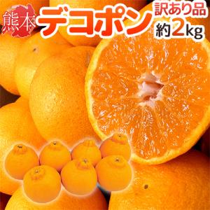 ”熊本産 デコポン” 訳あり 6〜8玉前後 約2kg【予約 1月以降】 送料無料