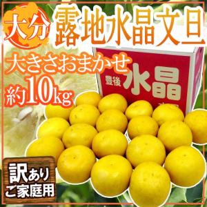 大分産 ”露地水晶文旦” 訳あり 約10kg 大きさおまかせ【予約 2月下旬以降】 送料無料