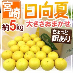 宮崎県産 ”日向夏” ちょっと訳あり 約5kg 大きさおまかせ【予約 2月末以降】 送料無料