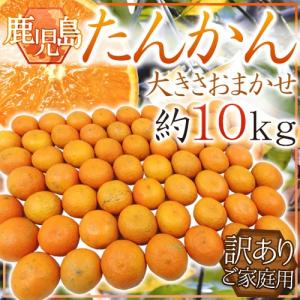奄美大島 訳あり たんかん タンカン みかん ご家庭用 20kg／Lサイズ
