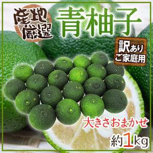 訳あり青柚子15kg➕️1kgオマケ。柚子胡椒、ゆずポン酢、焼鳥