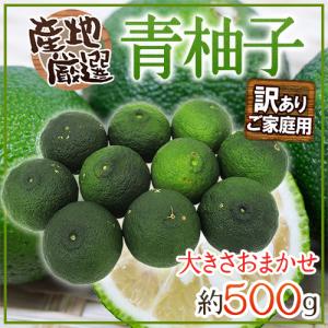 完全無農薬　青ゆず　青柚子　箱込み約5、5kg 青ゆず 訳あり規格外品 約5kg 柚子 ユズ 夏 果皮 薬味 柚子胡椒 果汁