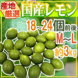 ”国産レモン” 約3kg 18〜24玉前後 M〜L 産地厳選【予約 入荷次第発送】 送料無料