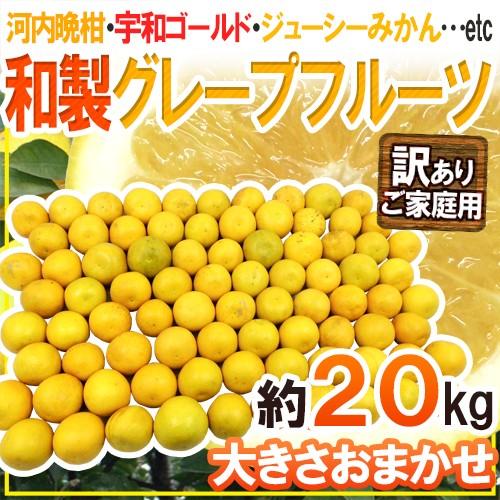 ”和製グレープフルーツ” 訳あり 約20kg 大きさおまかせ【予約 4月以降】 送料無料