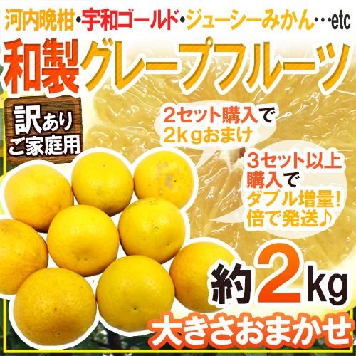 ”和製グレープフルーツ” 訳あり 約2kg《2セット購入で2kgおまけ、3セット以上購入で倍に増量》...