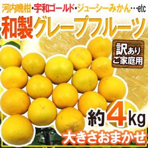 【送料無料】”和製グレープフルーツ” 約4kg 訳あり 大き...